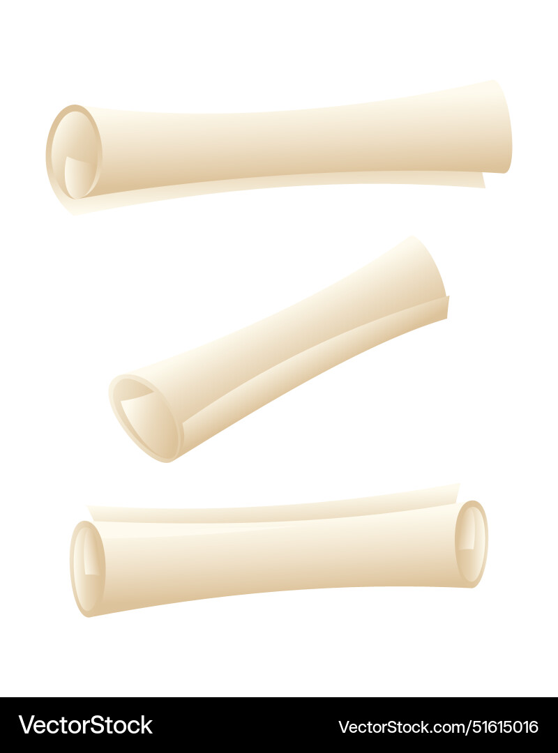 Rolled paper scroll in different positions Rolled paper scroll in different positions vector image