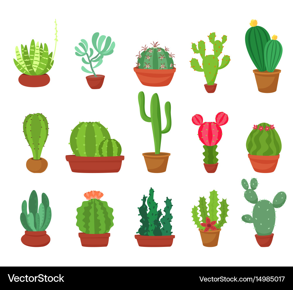 Cactus Flat Style Collection Vector Image