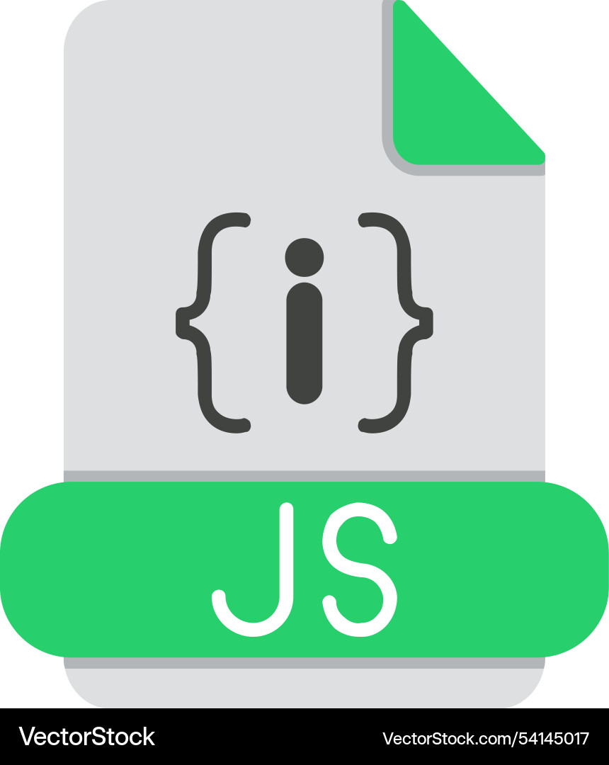 Js format flat icon design vector image