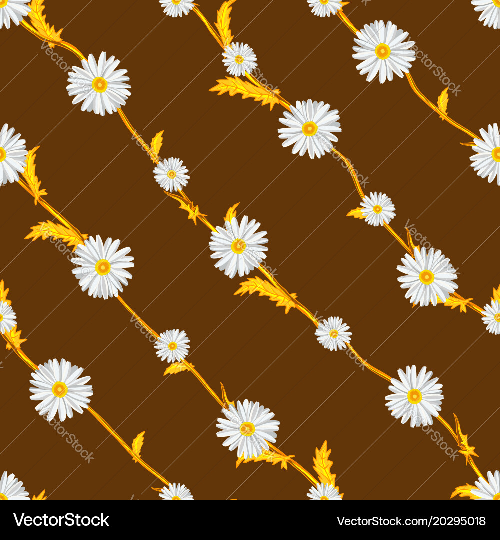 Seamless pattern from field chamomiles Vector Image