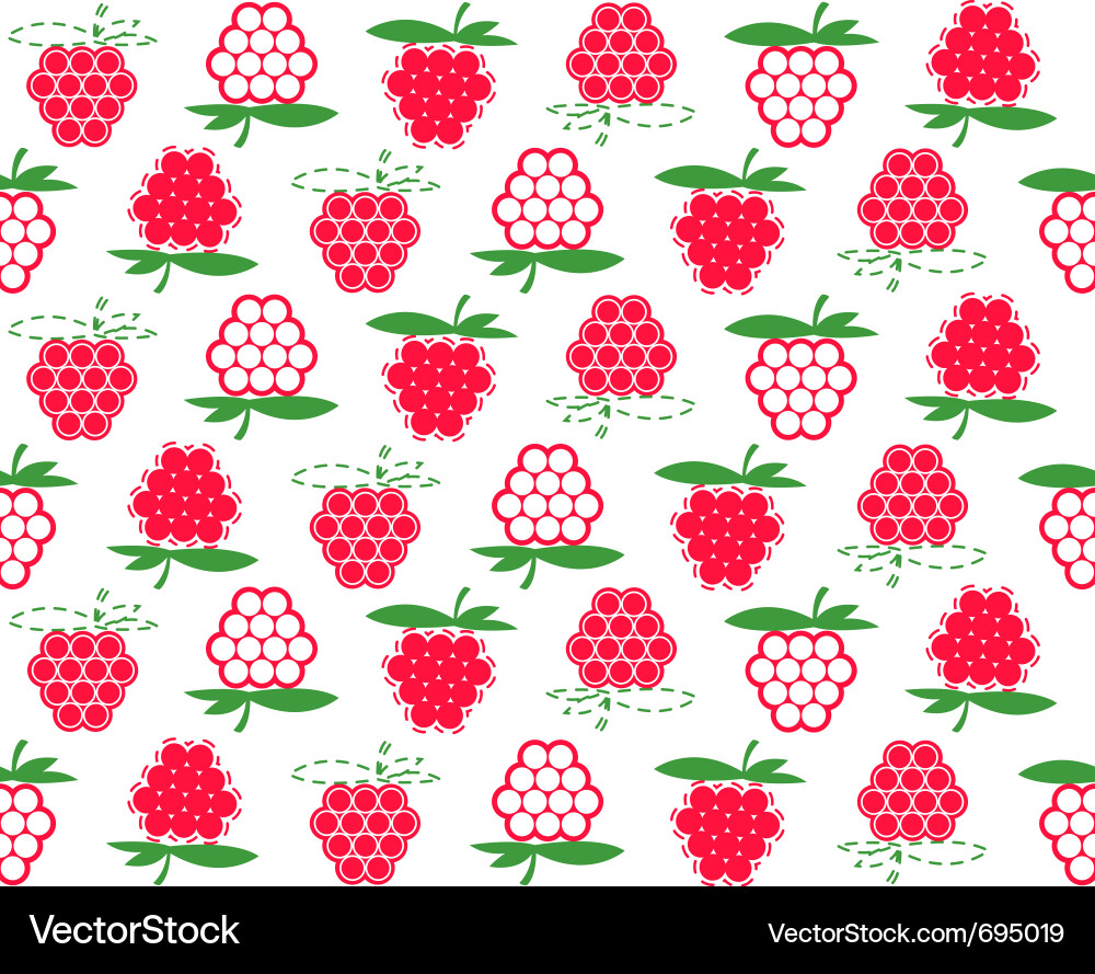 Raspberry Seamless Pattern Vector Image
