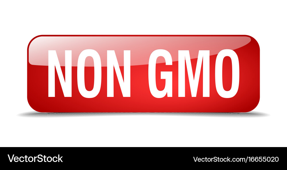 Non gmo red square 3d realistic isolated web vector image