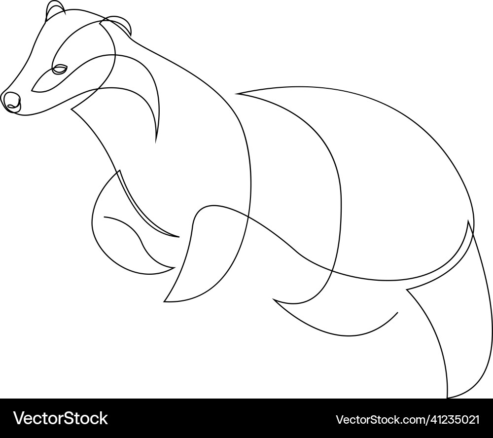 Badger drawn in single continuous line style Badger drawn in single continuous line style Vector Image