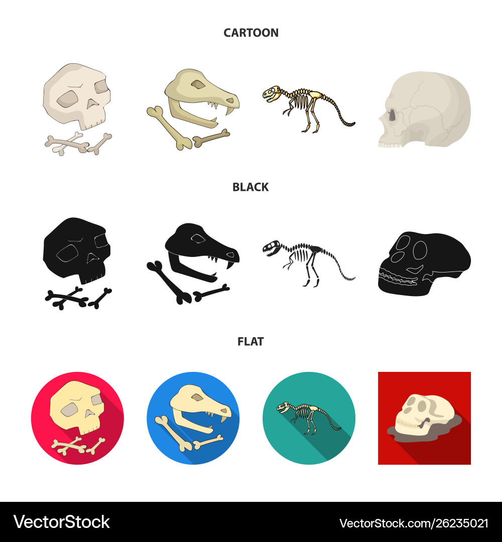 Design skeleton and character icon set Vector Image