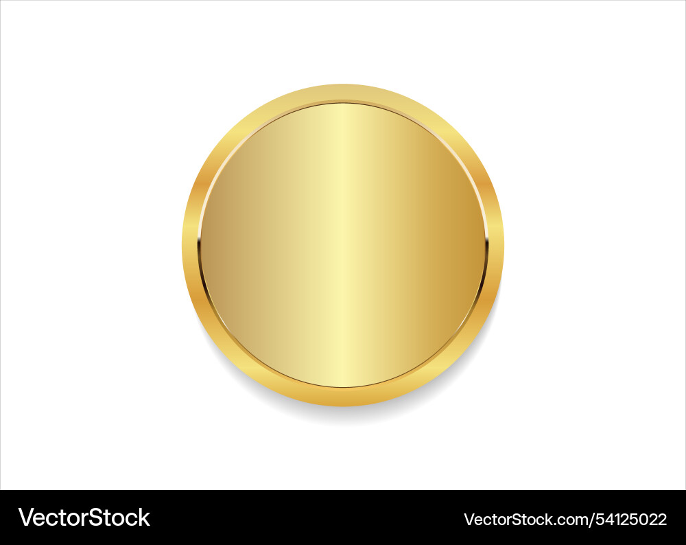 Golden Round Button with Frame vector image