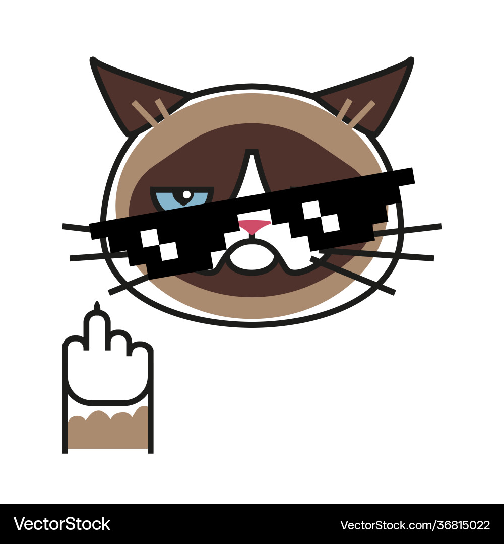Grumpy Cat with Middle Finger vector image