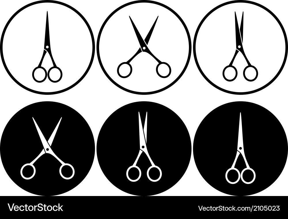 Scissors Set in Frame vector image