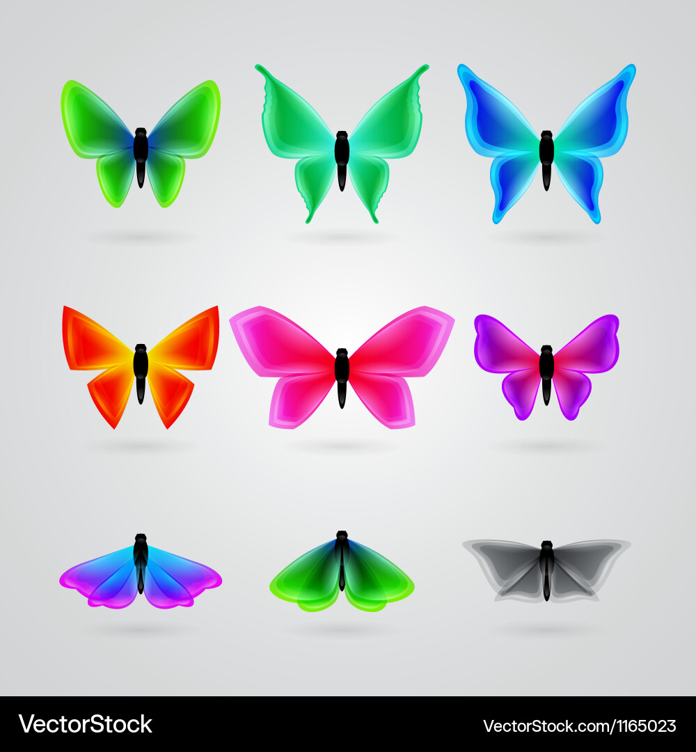 Set of different color butterfly Vector Image