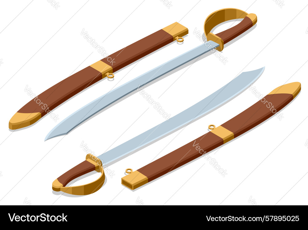 Cutlass swords an isometric set of two sharp Vector Image