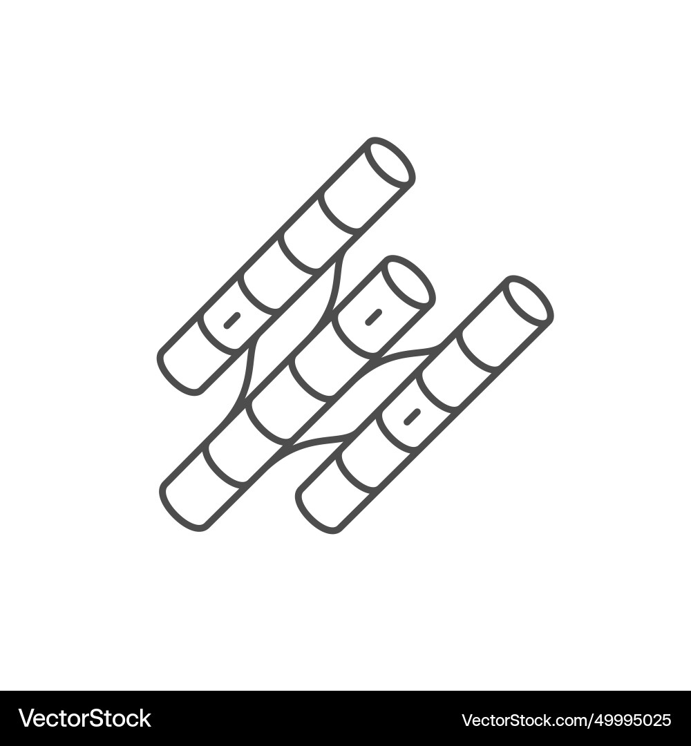 Muscle cell line outline icon Muscle cell line outline icon vector image