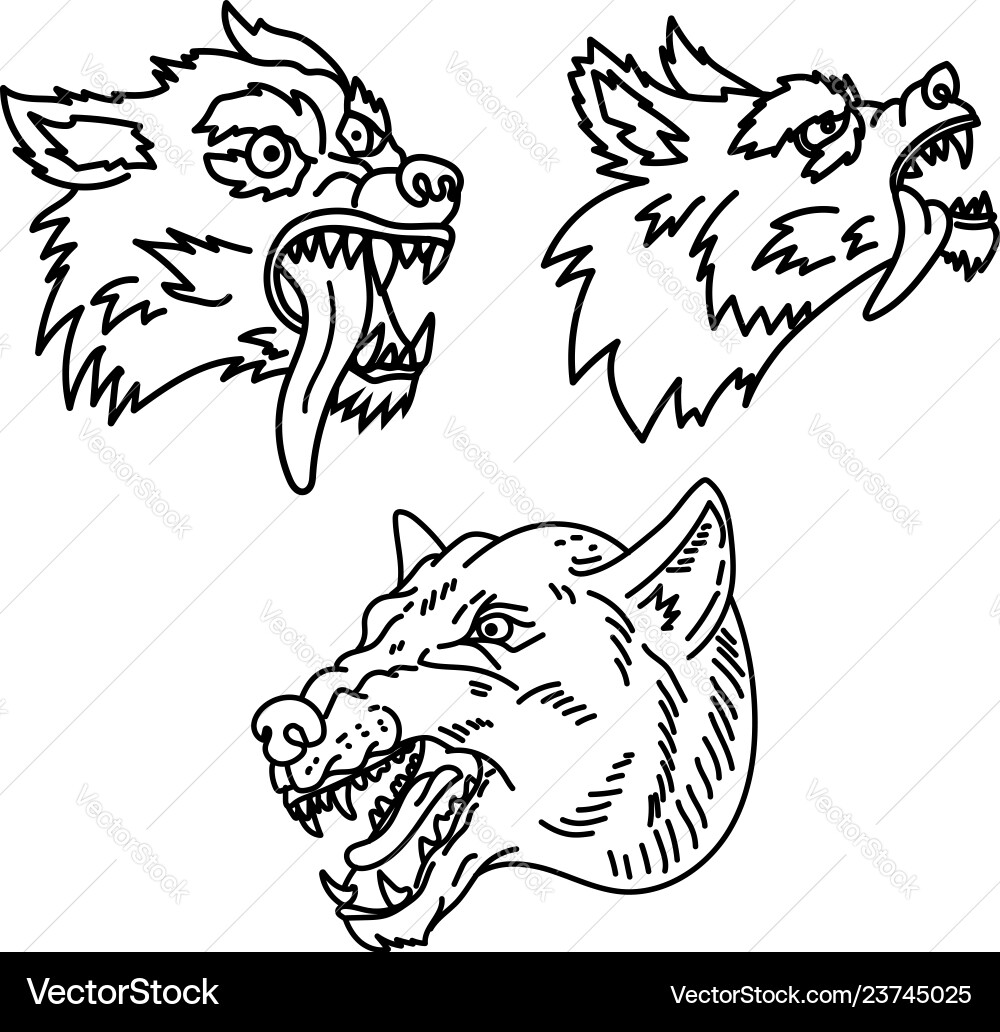 Set wolf in line style design element Set wolf in line style design element vector image