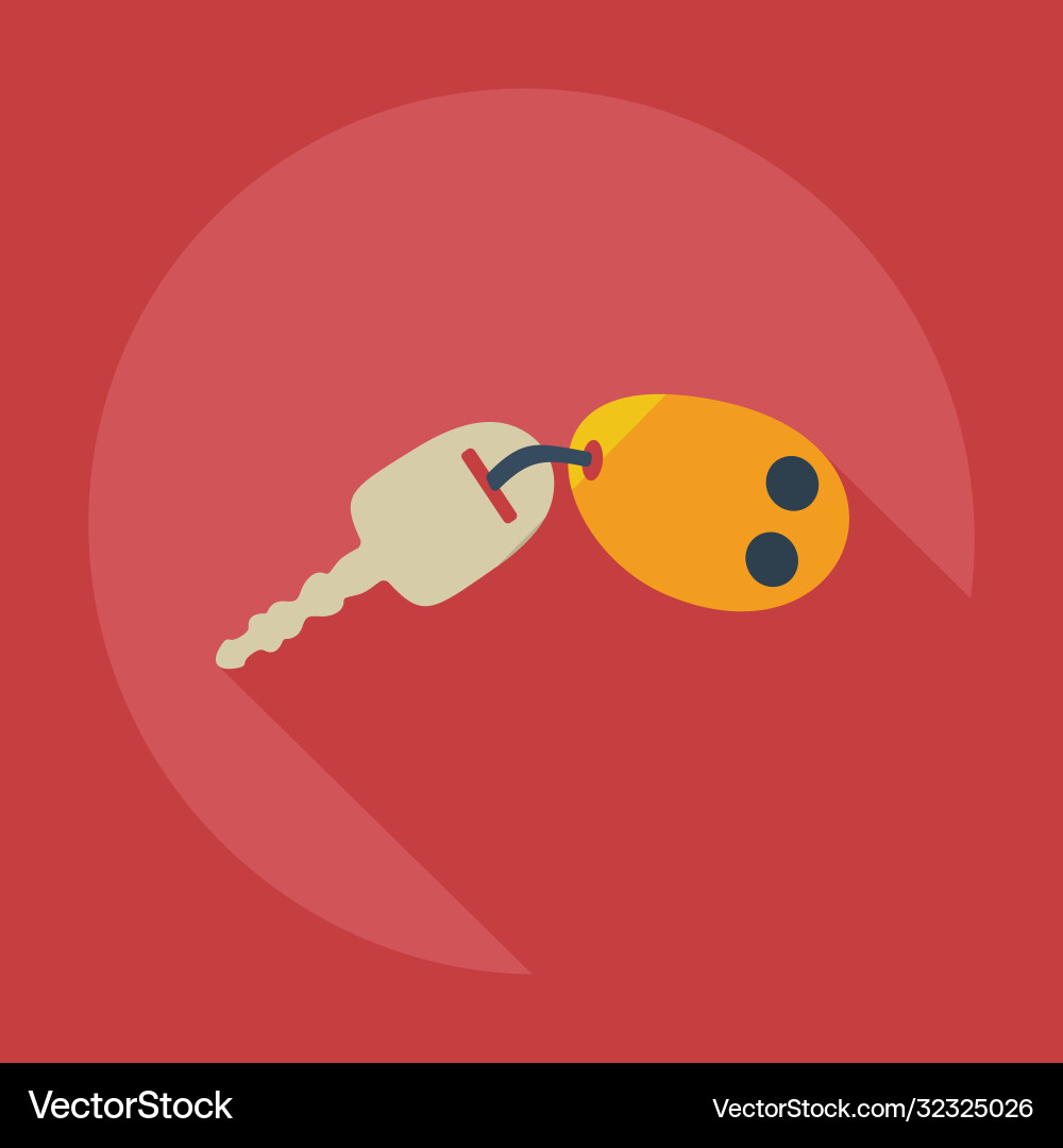 Flat modern design with shadow icons keys vector image