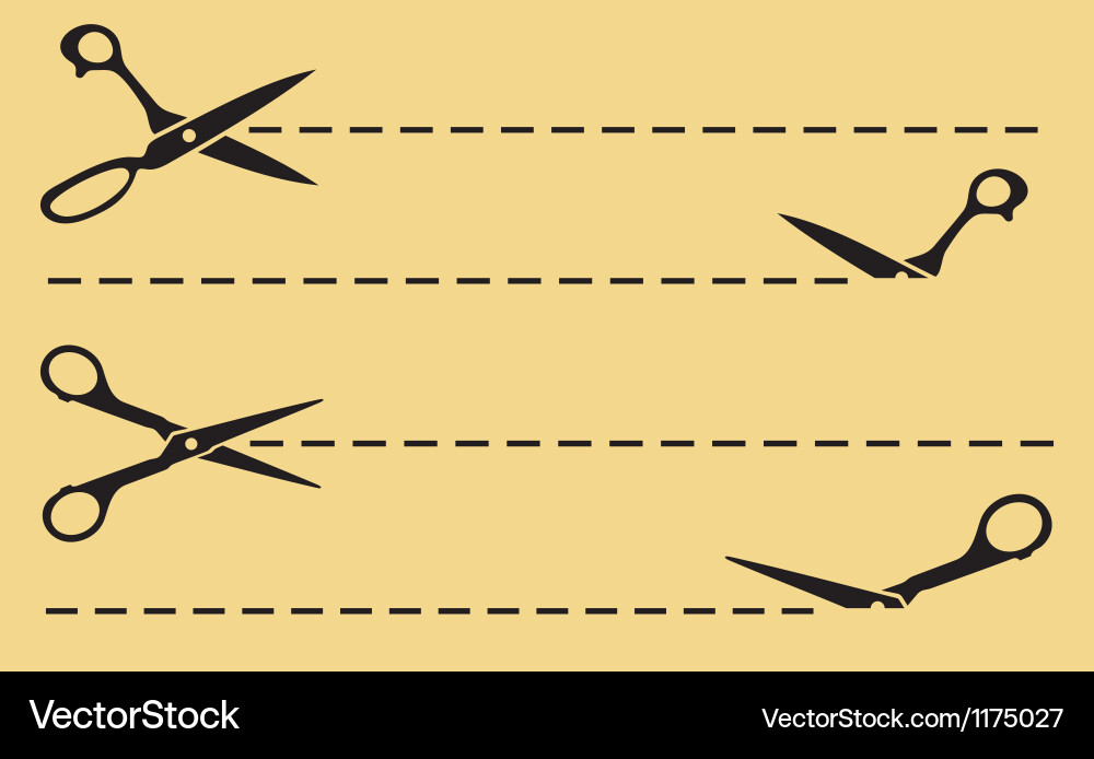 Cutting Lines & Scissors Vector Image