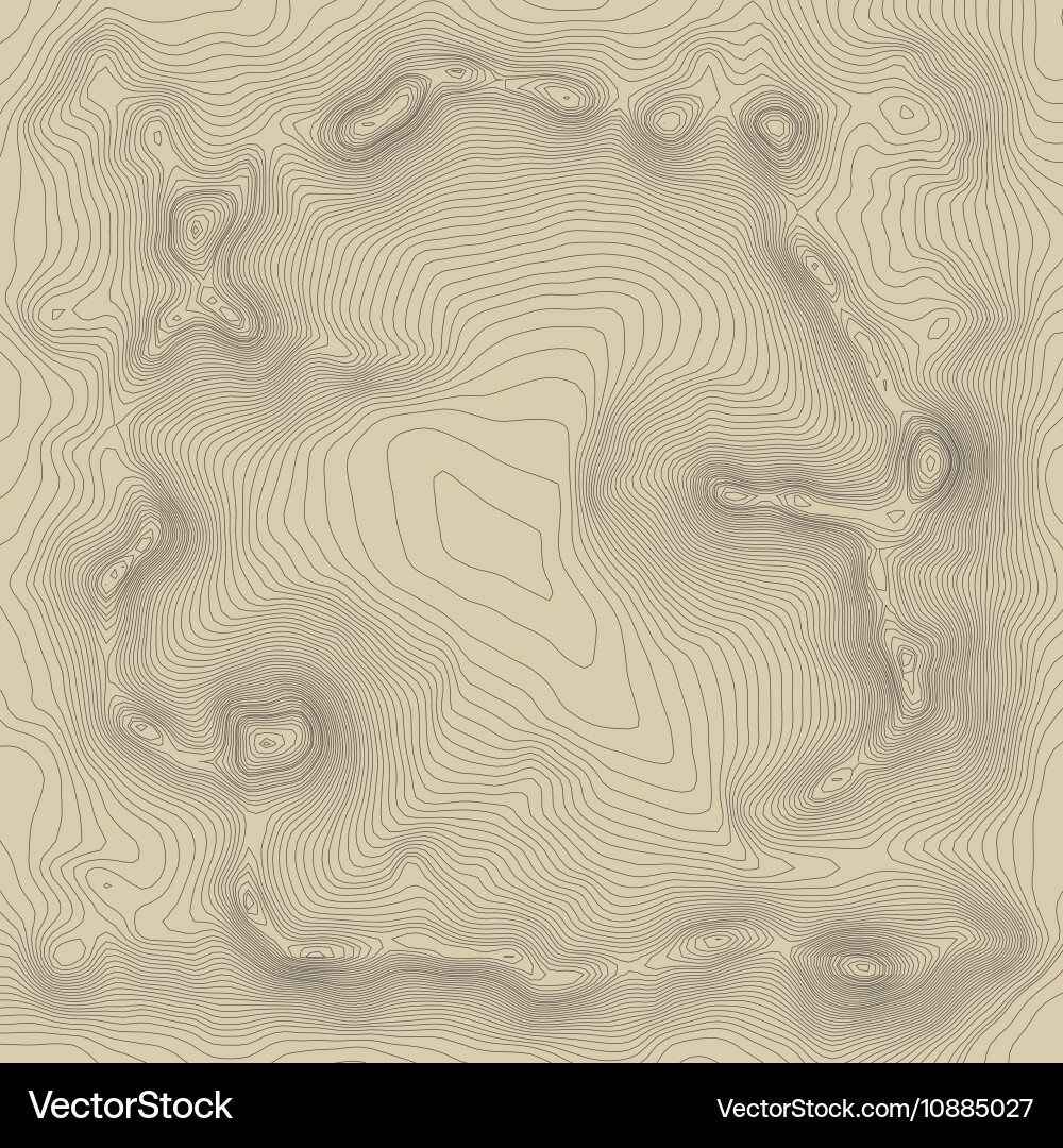 Topographic map background concept with space Vector Image