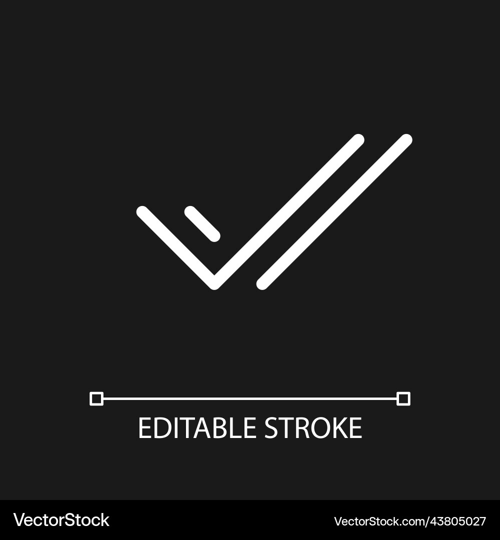 Two checkmarks pixel perfect white linear ui icon vector image