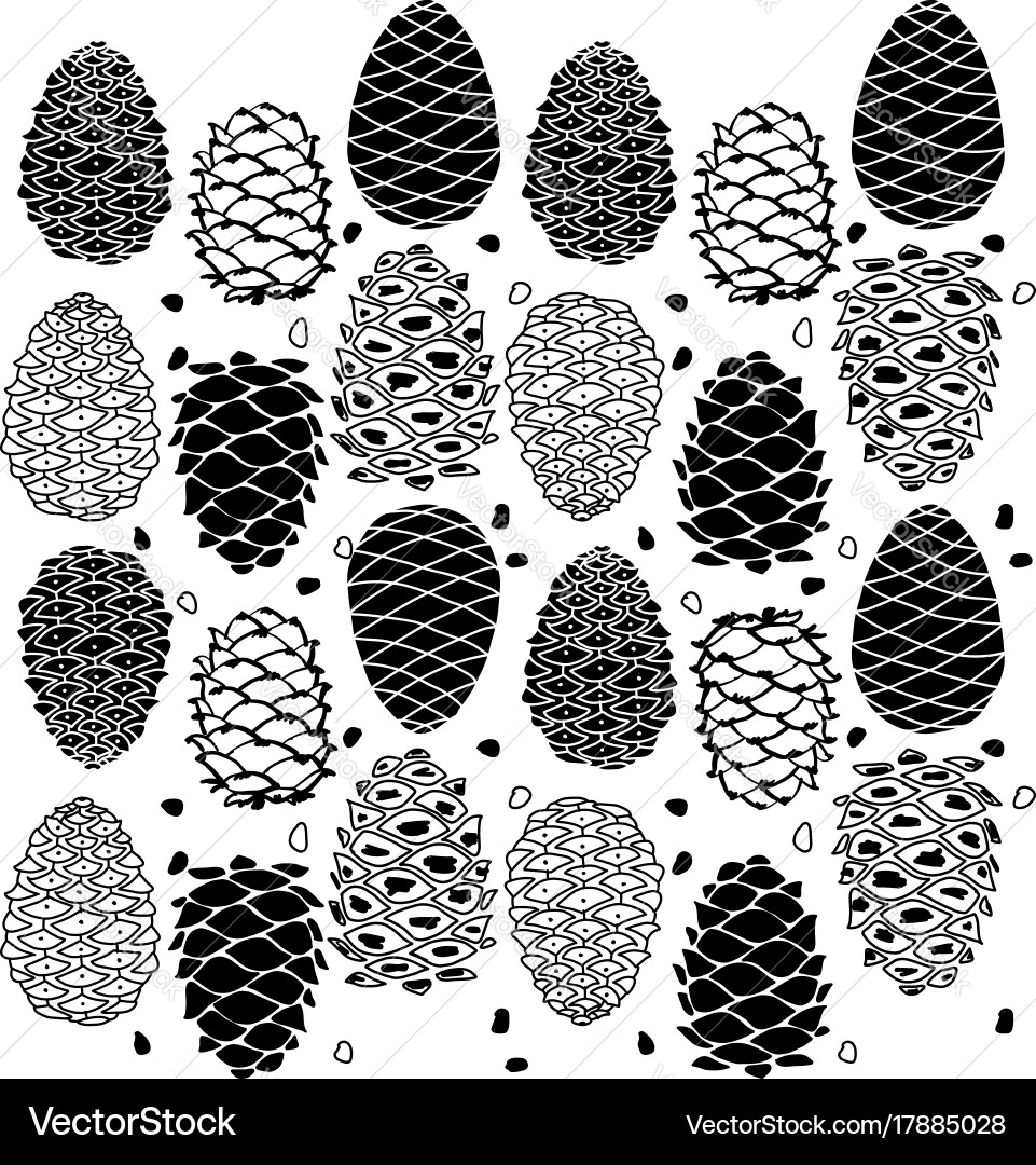 Cedar cone set sketch for your design vector image