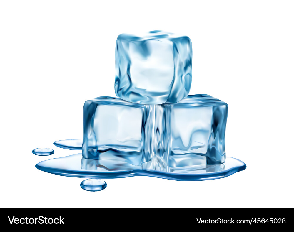 Melting Ice Cubes in Water – Royalty-Free Vector | VectorStock, image size:1000x787