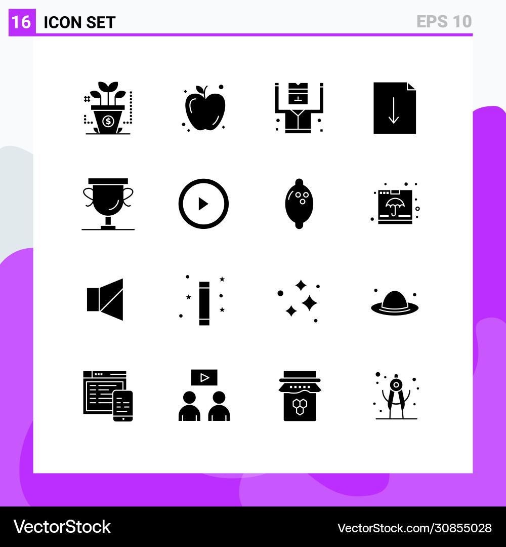 Set 16 solid glyphs on grid for interface Vector Image