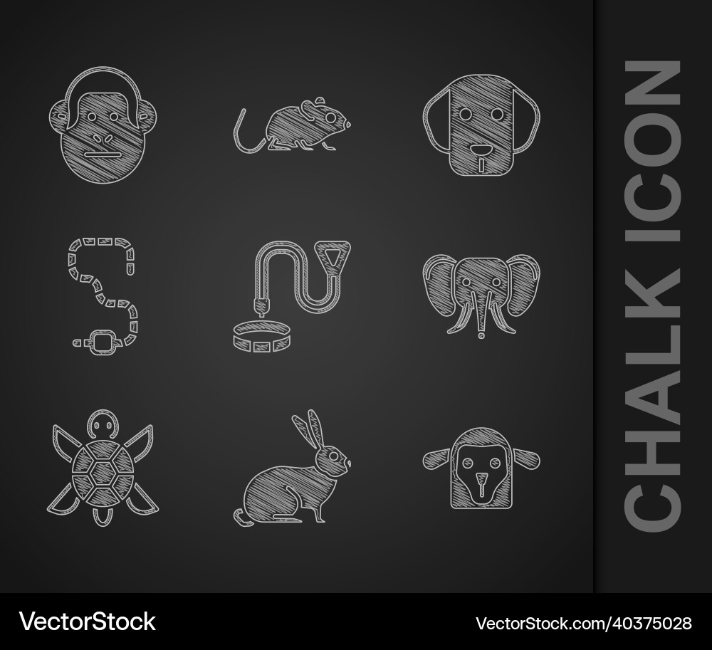 Set collar with name tag rabbit sheep head Vector Image