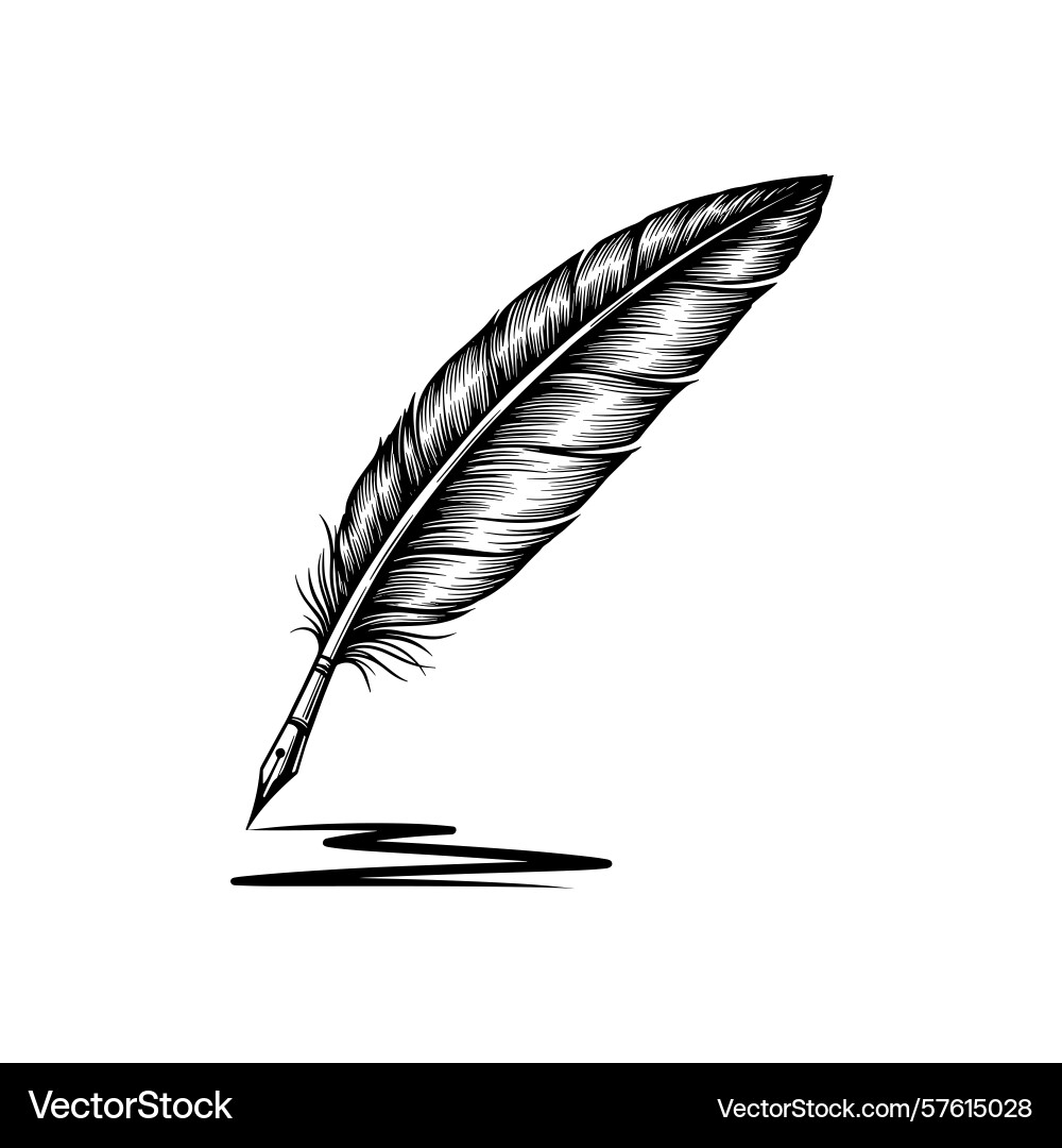 Sketch of a single feather with intricate details Vector Image