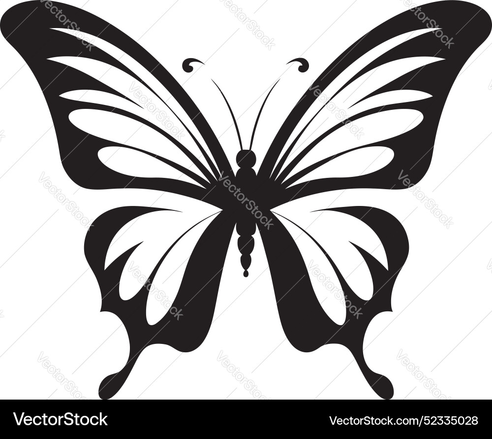Sublime flutter butterfly silhouette elegant soar Vector Image