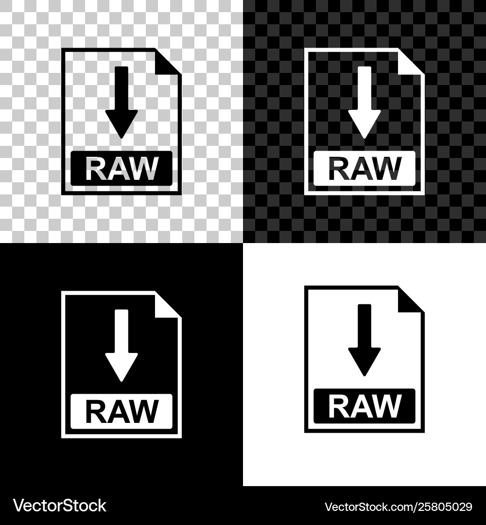 Raw file document icon download button Raw file document icon download button vector image
