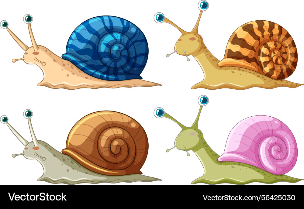 Four vibrant snails with unique shell patterns Four vibrant snails with unique shell patterns vector image