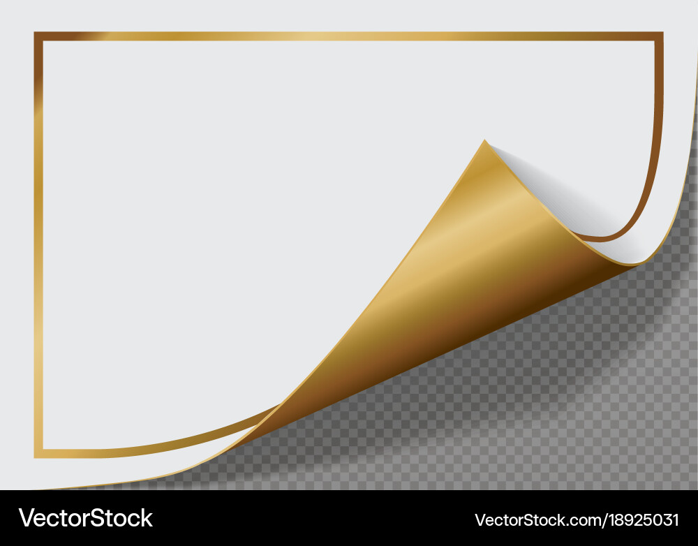 Page curl with shadow on a blank sheet of paper Vector Image