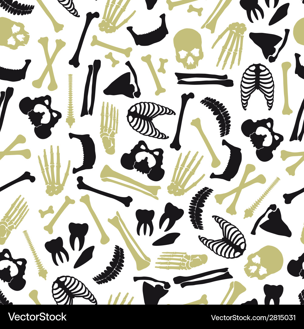 Skeletal Bones Pattern - Seamless Vector Image