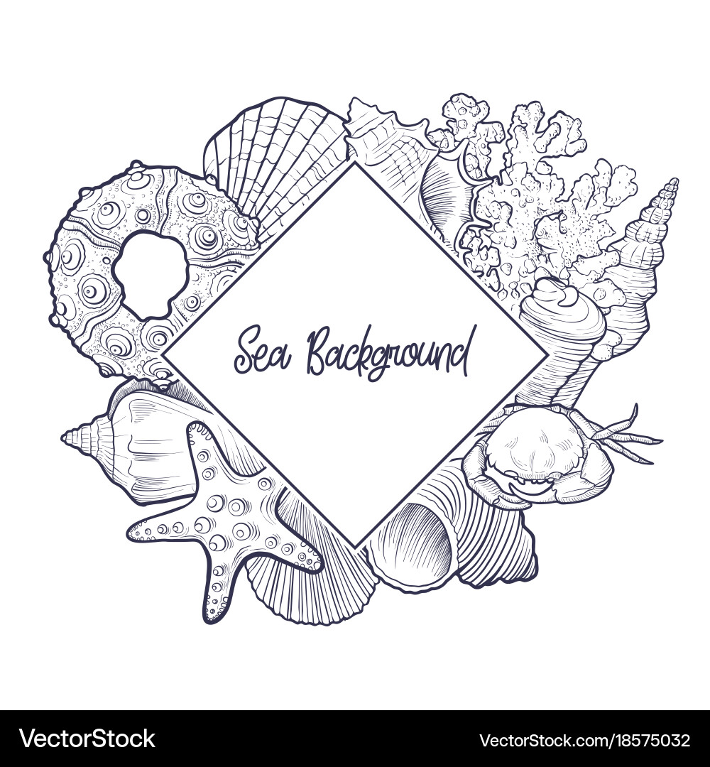 Background with seashells vector image