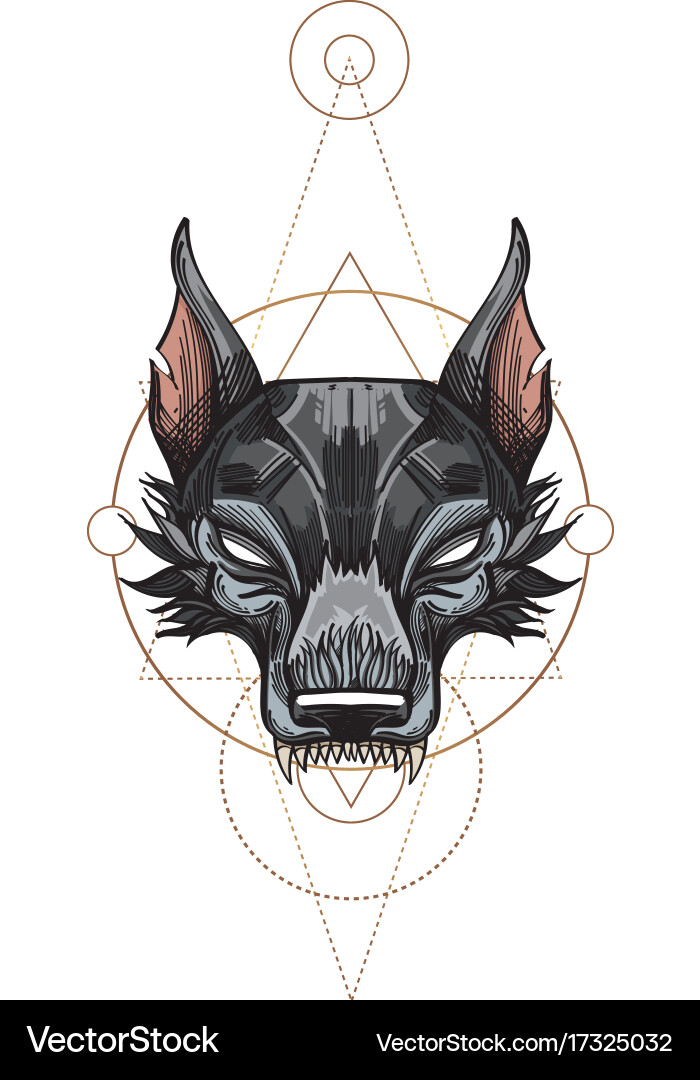 Muzzle of a wolf is an for creating sketches vector image