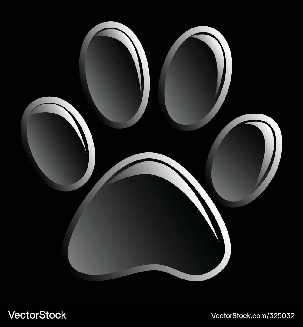 Paw Print on Black Background Vector Image
