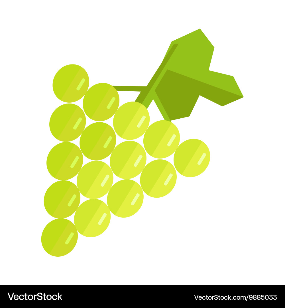 Grape in flat style design Vector Image