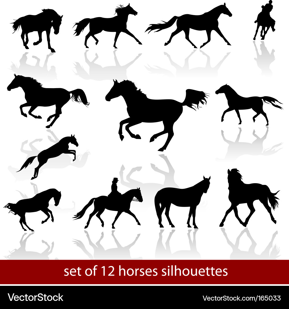Horse Silhouettes Set vector image