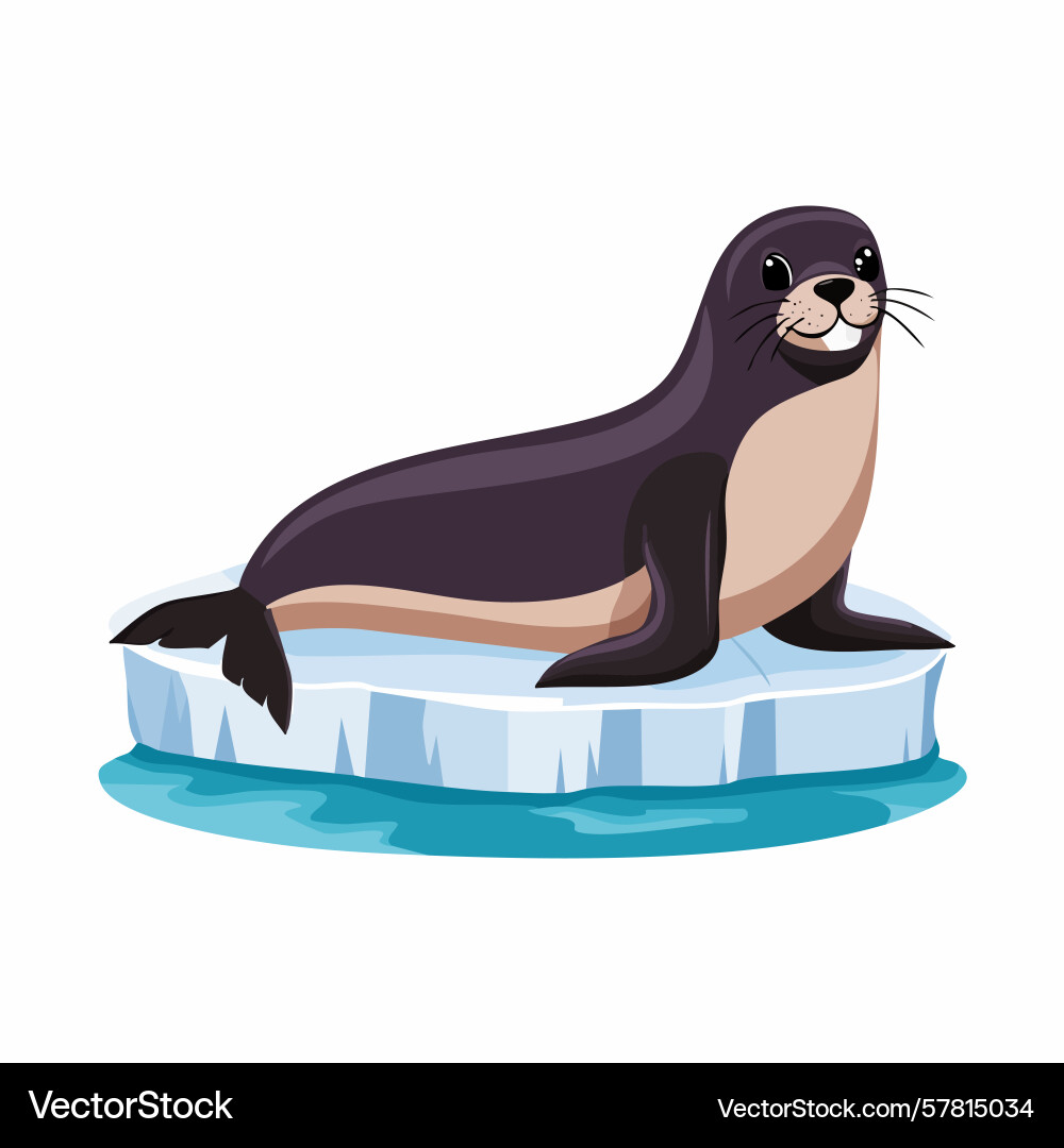 Smiling cartoon seal resting on a floating Vector Image