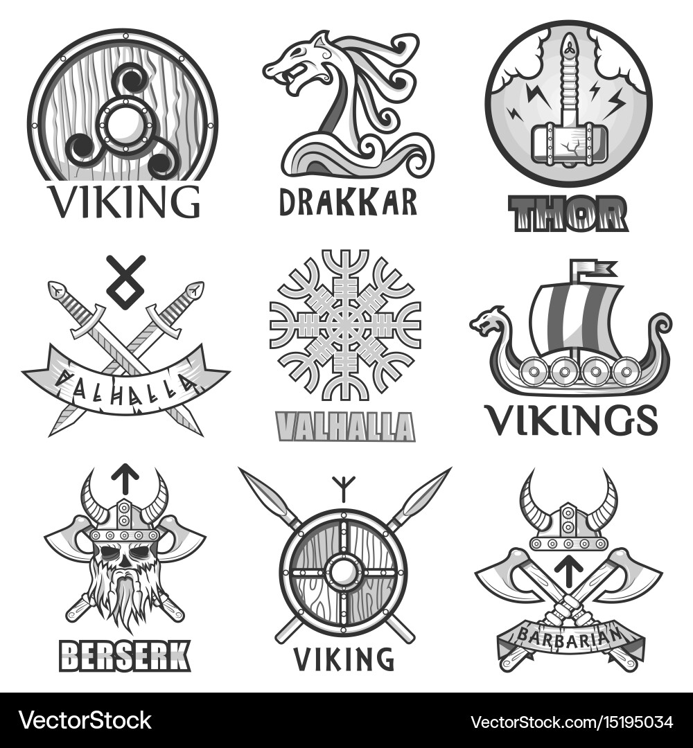 Viking Warrior Symbols vector image