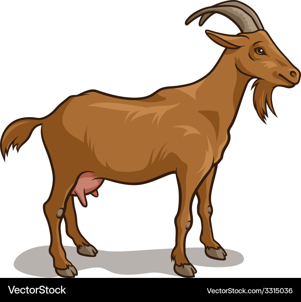 Goat Royalty Free Vector Image - VectorStock