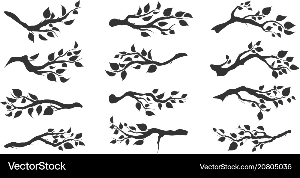 Tree branches with leaves isolated Tree branches with leaves isolated vector image