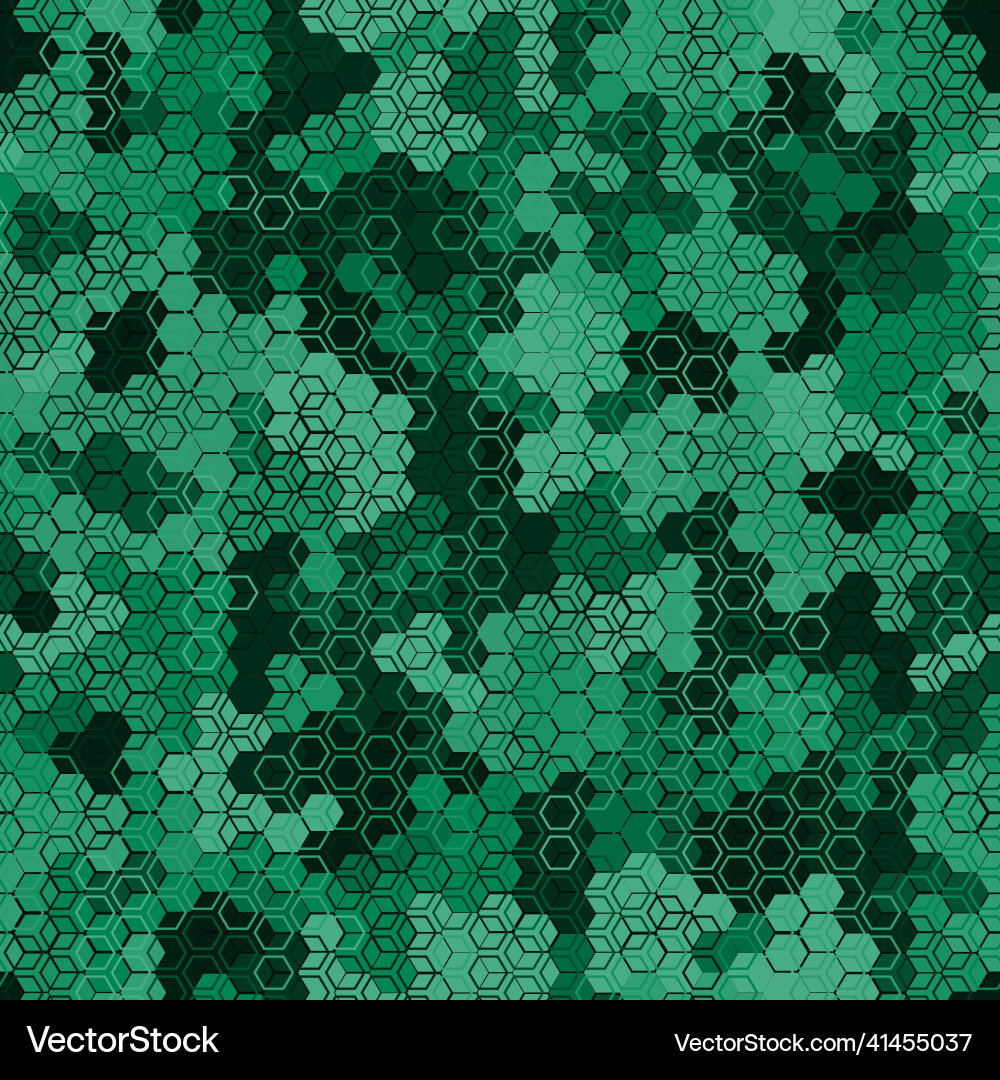 Dark Emerald Hexagon Pattern vector image