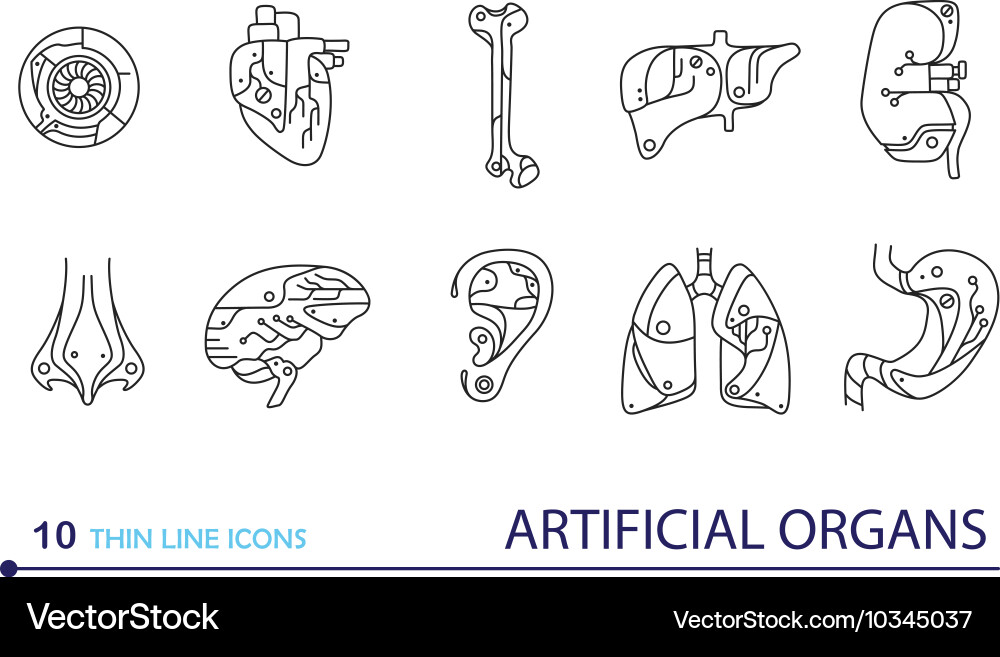 Thin line icons - artificial organs Vector Image