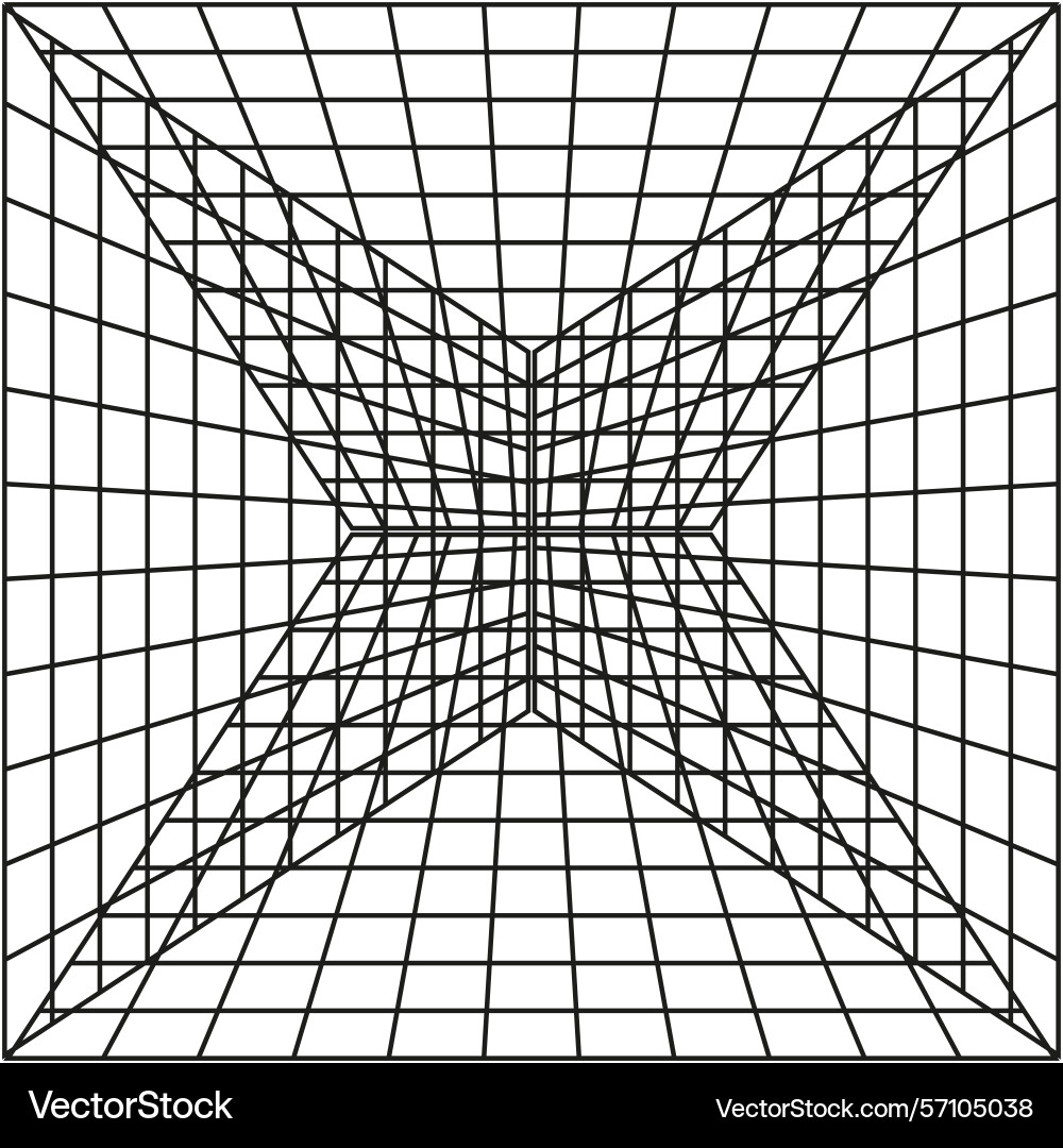 Geometric grid box perspective wireframe view Geometric grid box perspective wireframe view vector image