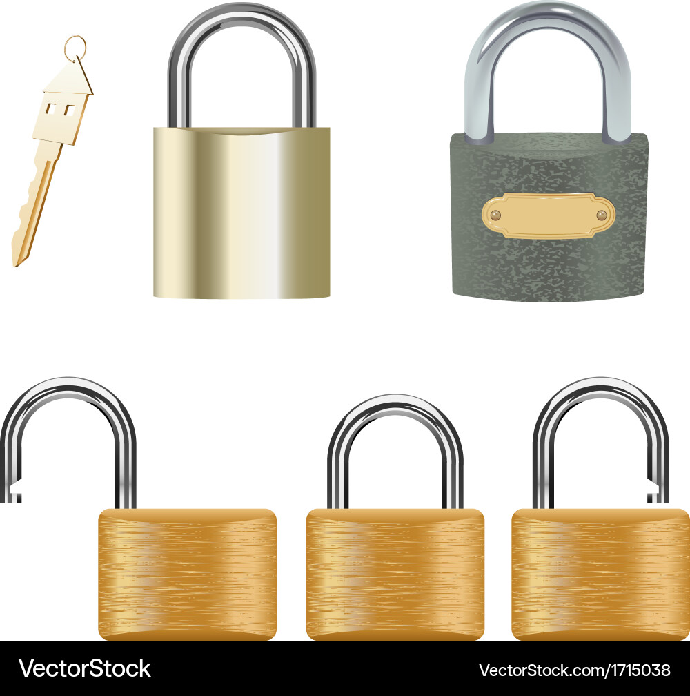 Padlock Set - Security Collection Vector Image