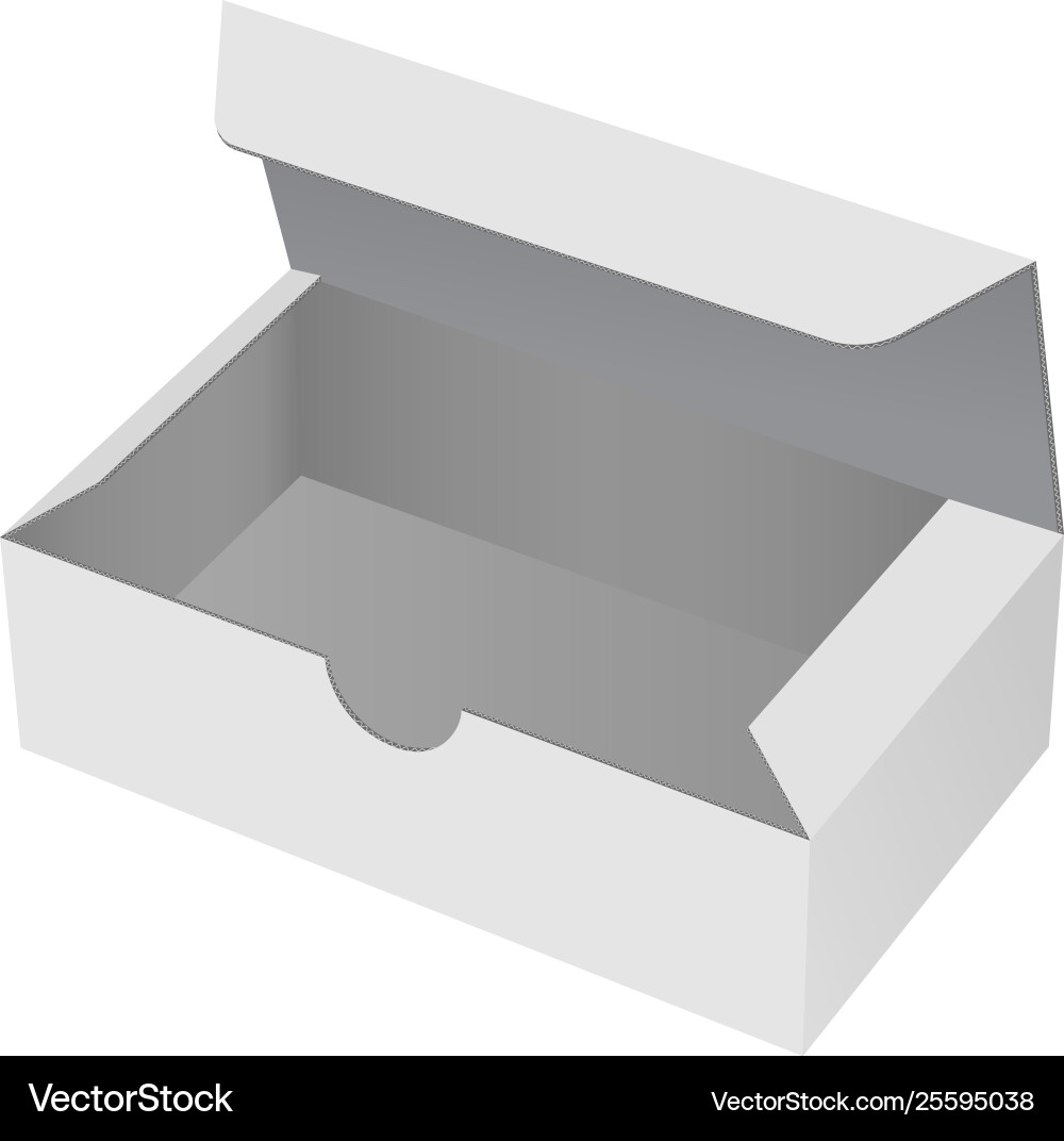 Paper cardboard box template open gray empty Vector Image