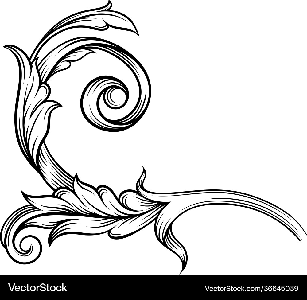 Baroque scroll as element ornament and graphic Vector Image