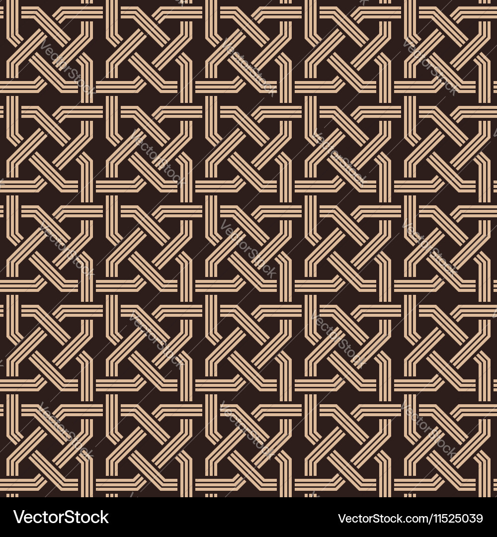 Intricate Knotwork Pattern Vector Image