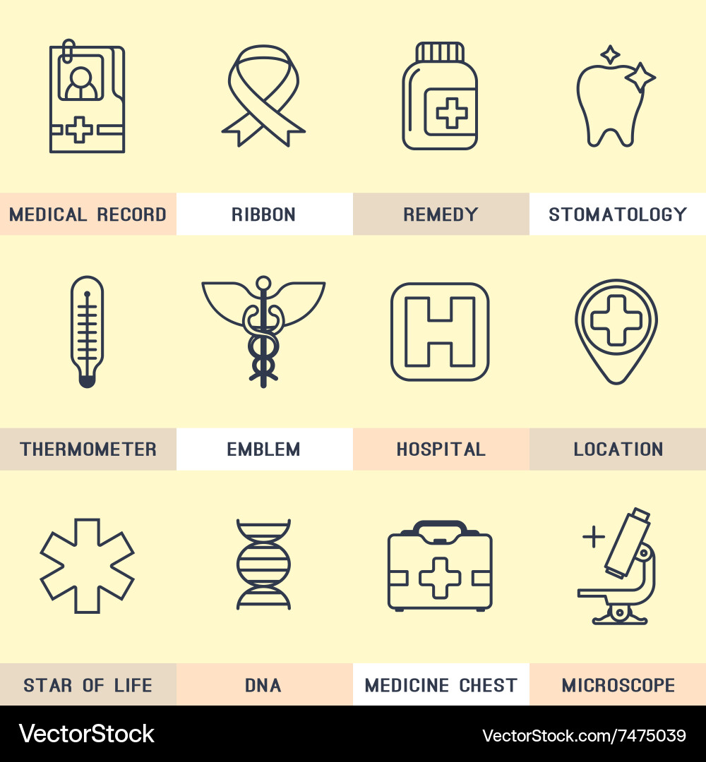 Set of line icons in the flat style Vector Image