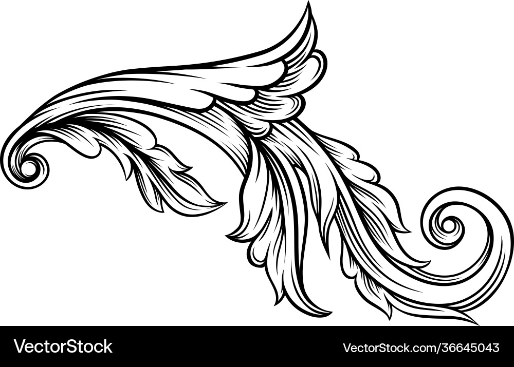 Baroque Scroll Ornament Vector Image