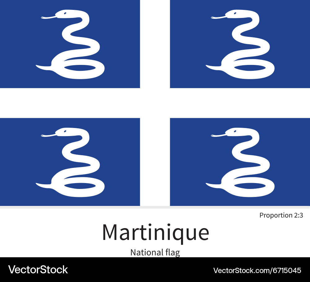 Martinique National Flag Vector Image