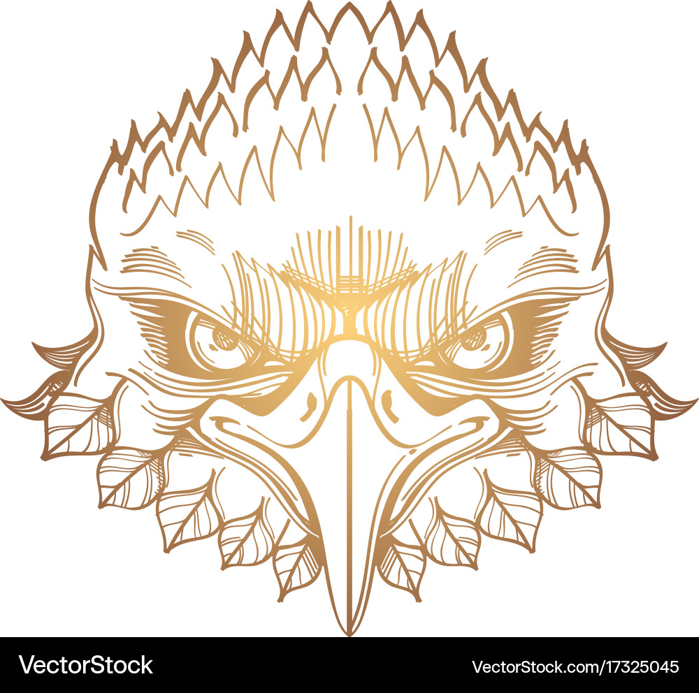 Muzzle of an eagle for creating sketches Vector Image