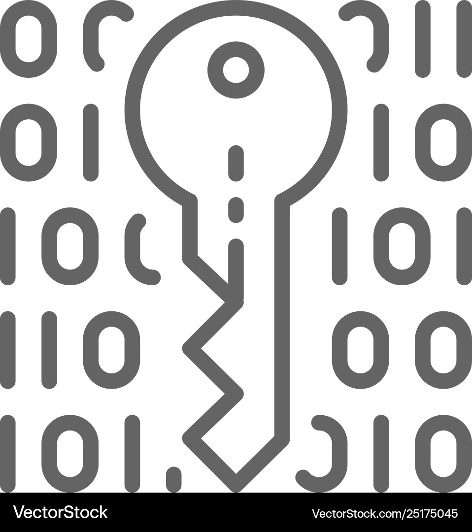 Private key coding cryptography cyber security vector image